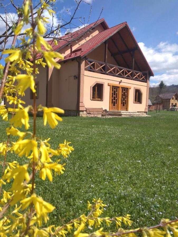 Затишок В Карпатах Villa Yaremche Ngoại thất bức ảnh