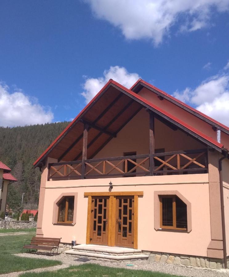Затишок В Карпатах Villa Yaremche Ngoại thất bức ảnh
