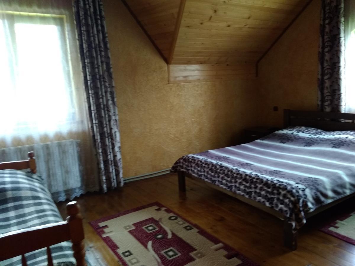 Затишок В Карпатах Villa Yaremche Ngoại thất bức ảnh